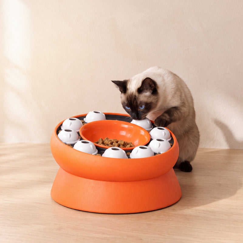 Maze Puzzle Feeder