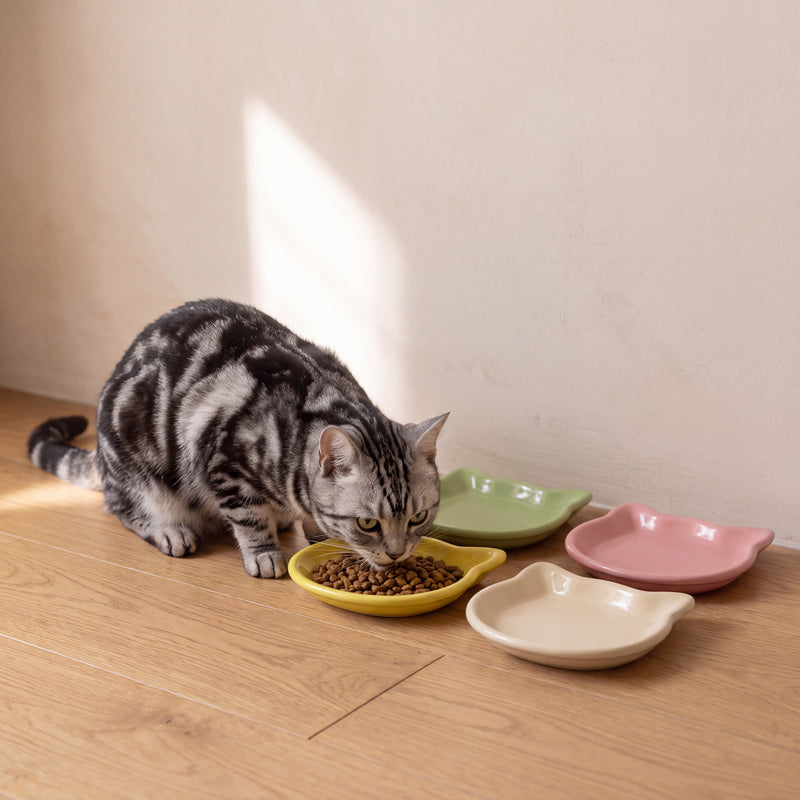Whisker Shallow Dishes