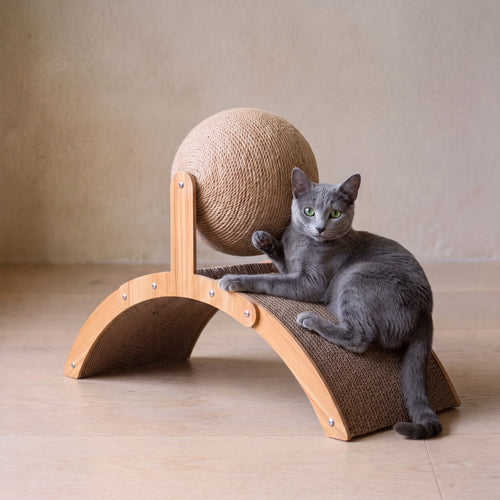 Arc Scratch Lounger - with a cat