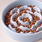 Bloom Slow Feeder Bowl - Blue - close up