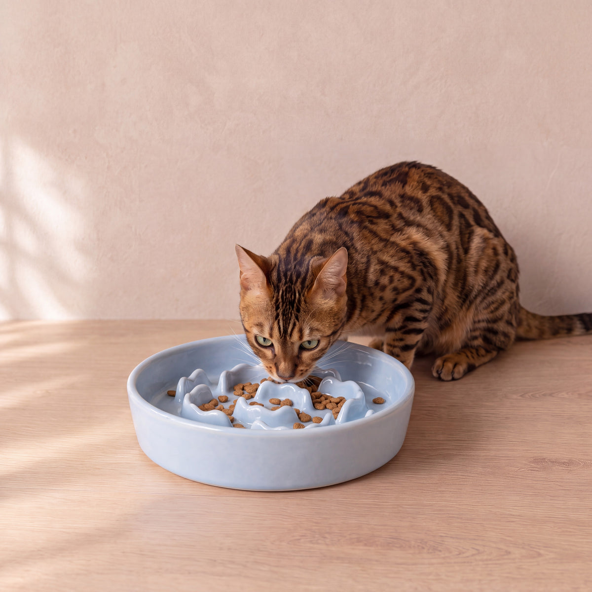 Bloom Slow Feeder Bowl - Blue - with a cat