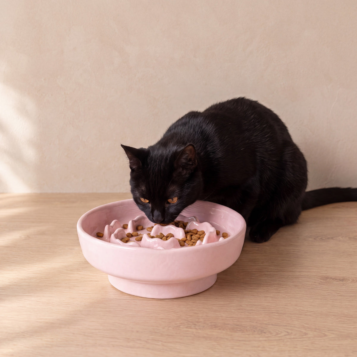 Bloom Slow Feeder Bowl - Pink - with a cat