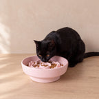 Bloom Slow Feeder Bowl - Pink - with a cat