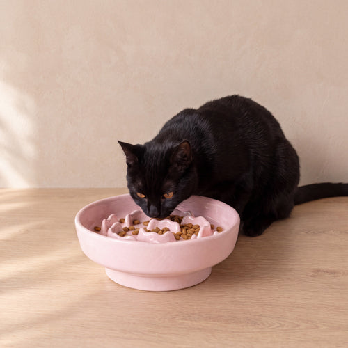 Bloom Slow Feeder Bowl - Pink - with a cat