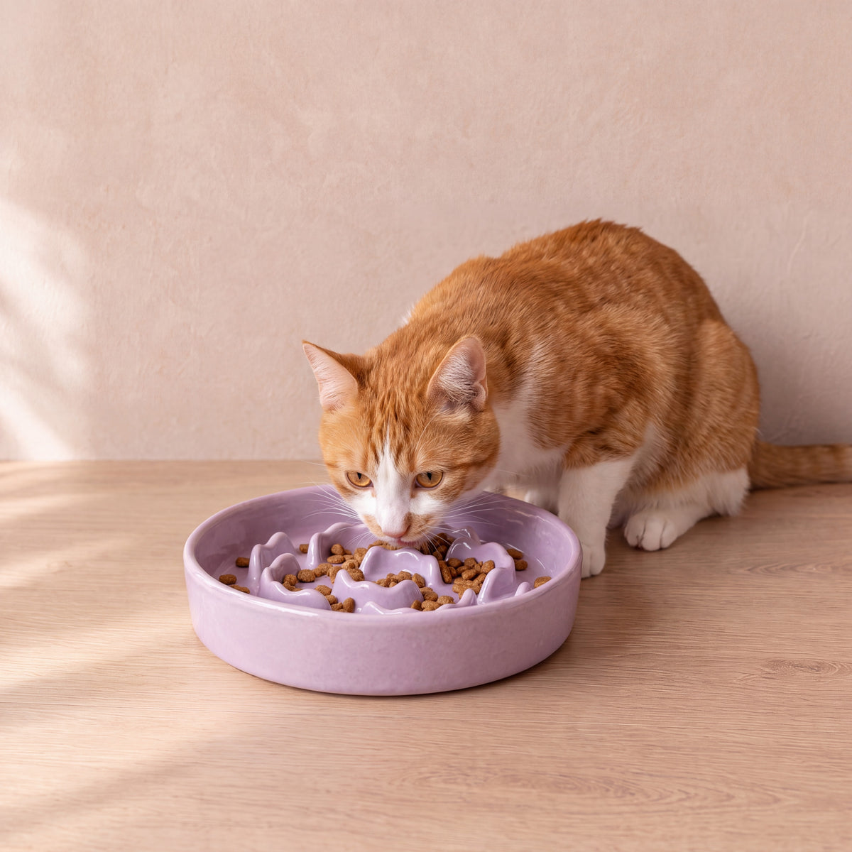 Bloom Slow Feeder Bowl - Purple - with a cat