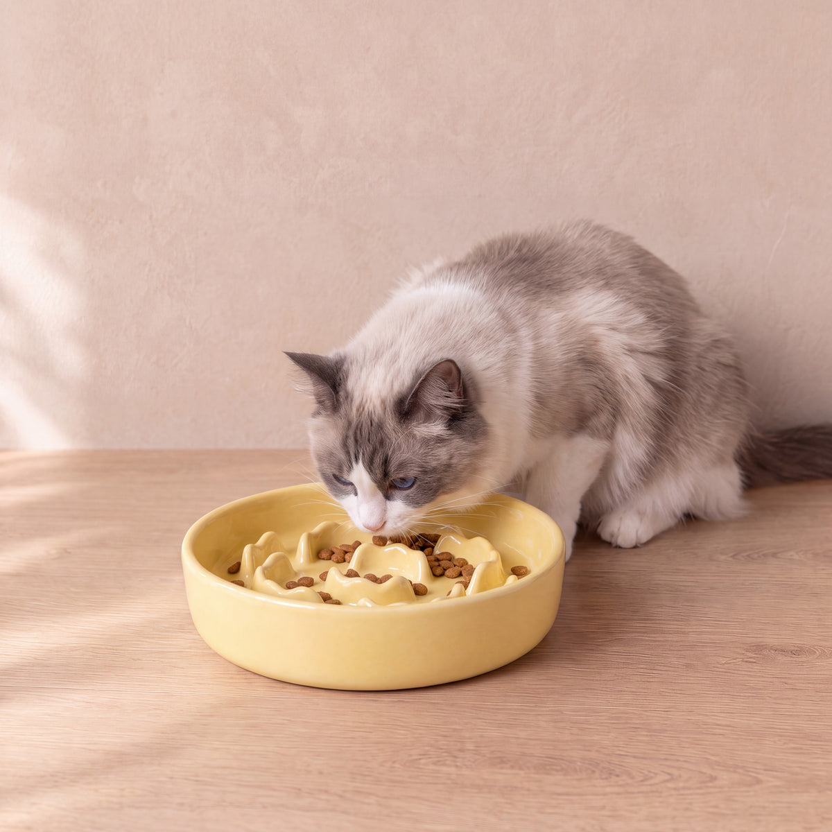 Bloom Slow Feeder Bowl - Yellow - with a cat
