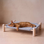 Breeze Raised Cot Bed - Grey - with a cat