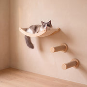 Climb Wall Shelf Set