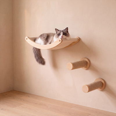 Climb Wall Shelf Set