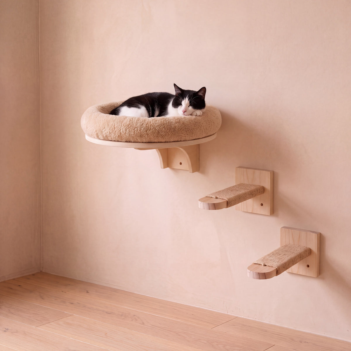 Climb Wall Shelf Set - Nest Set - with a cat
