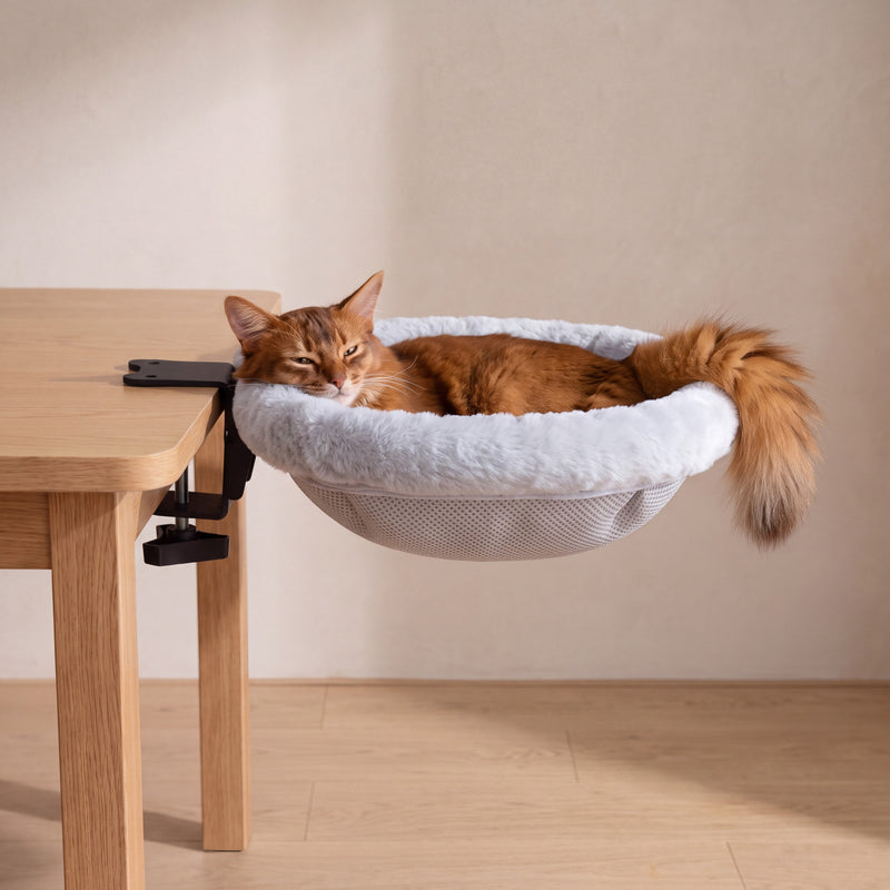 Clip Desk Bed
