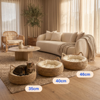 Coil Basket Bed