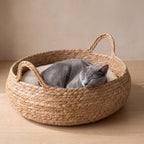 Coil Basket Bed - with a cat