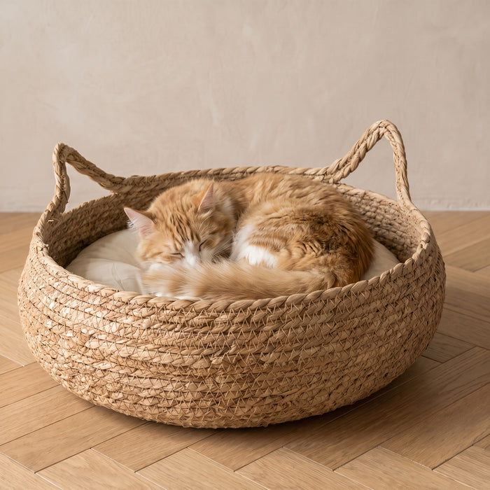 Coil Basket Bed
