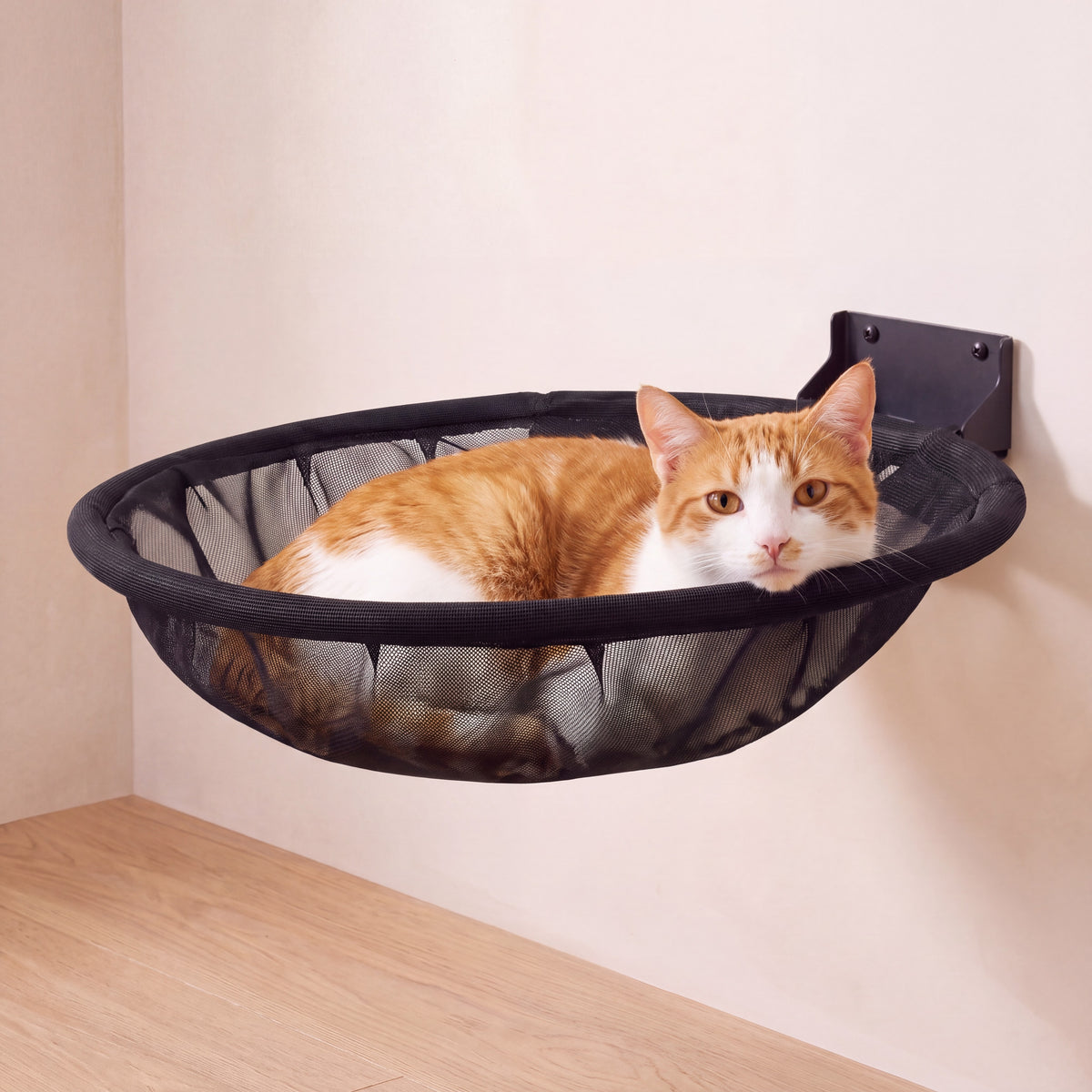 Cove Wall Hammock - Black - with a cat