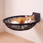 Cove Wall Hammock - Black - with a cat