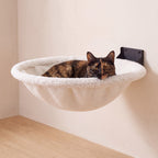 Cove Wall Hammock - Cream - with a cat