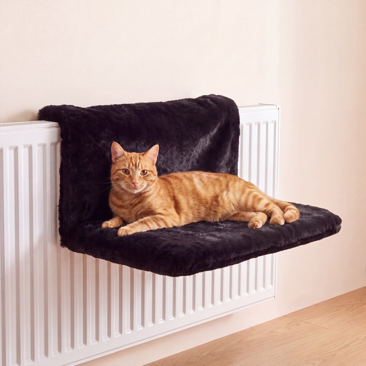 Cradle Radiator Bed - Black - with a cat