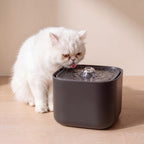 Cube Water Fountain - Black - with a cat