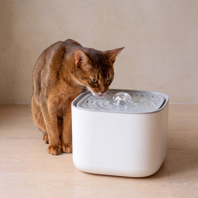 Cube Water Fountain