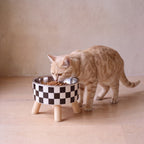 Domino Raised Bowl - Checker - with a cat