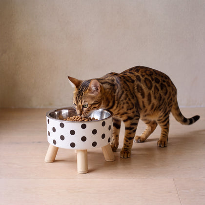 Domino Raised Bowl