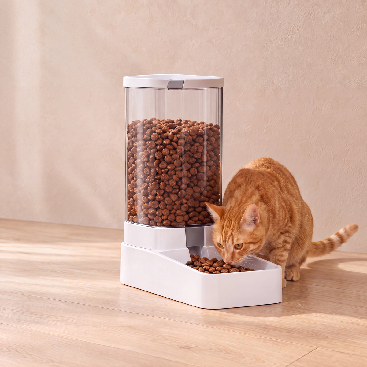 Flow Gravity Feeder Set - Food Feeder 2.1 kg - with a cat