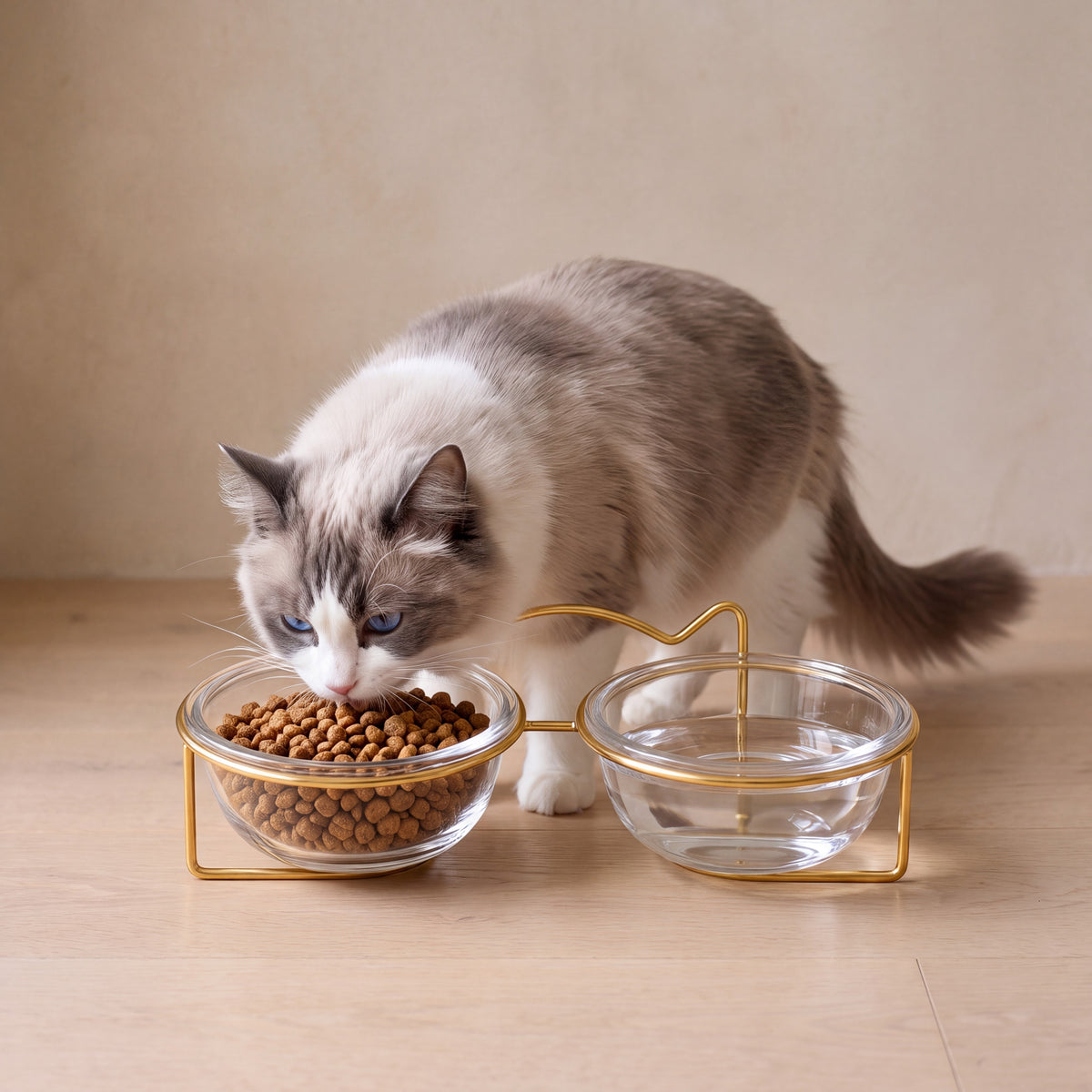 Gleam Glass Bowl Stand - Gold Double 2x300 ml - with a cat