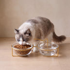 Gleam Glass Bowl Stand - Gold Double 2x300 ml - with a cat