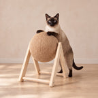 Globe Sisal Scratcher - A-Frame - with a cat