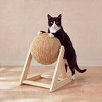 Globe Sisal Scratcher - Lounger Base - with a cat