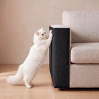 Guard Couch Scratch Wrap - Black - with a cat