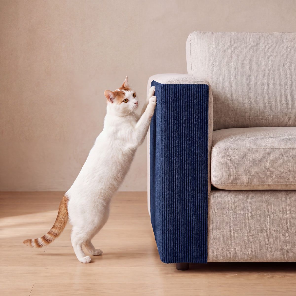 Guard Couch Scratch Wrap - Dark Blue - with a cat