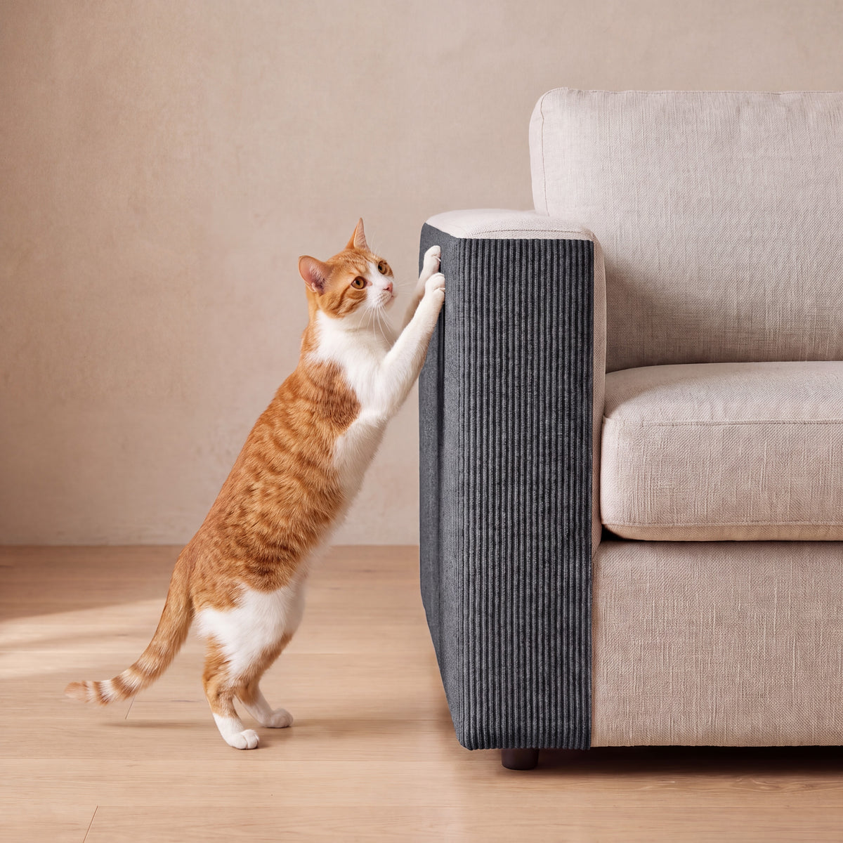 Guard Couch Scratch Wrap - Dark Gray - with a cat