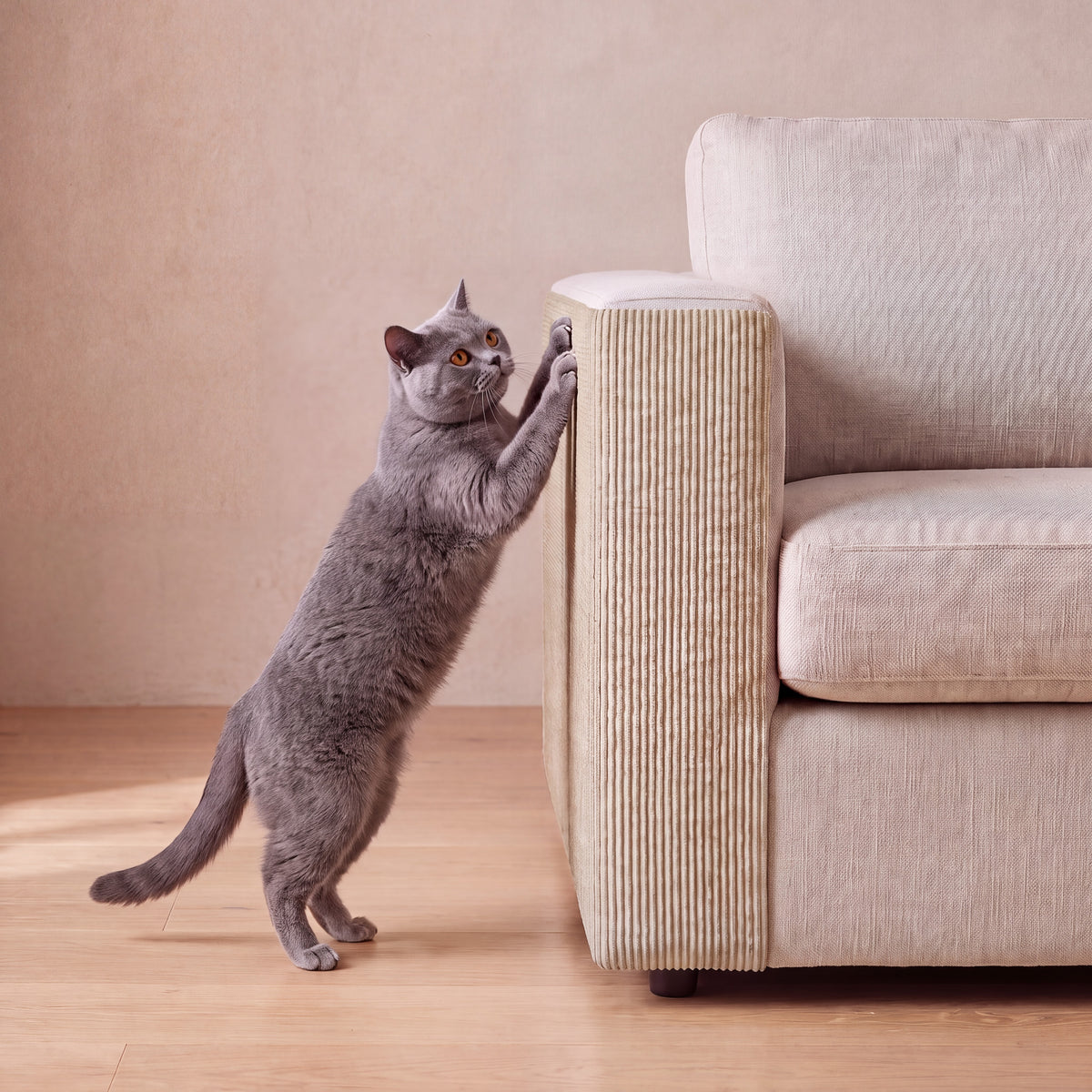 Guard Couch Scratch Wrap - Khaki - with a cat