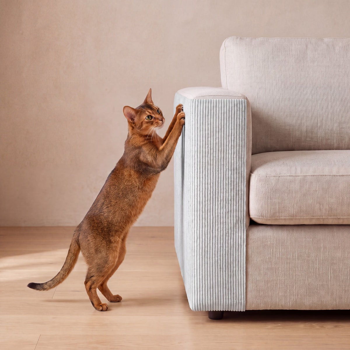Guard Couch Scratch Wrap - Light Grey - with a cat