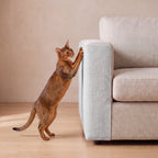 Guard Couch Scratch Wrap - Light Grey - with a cat