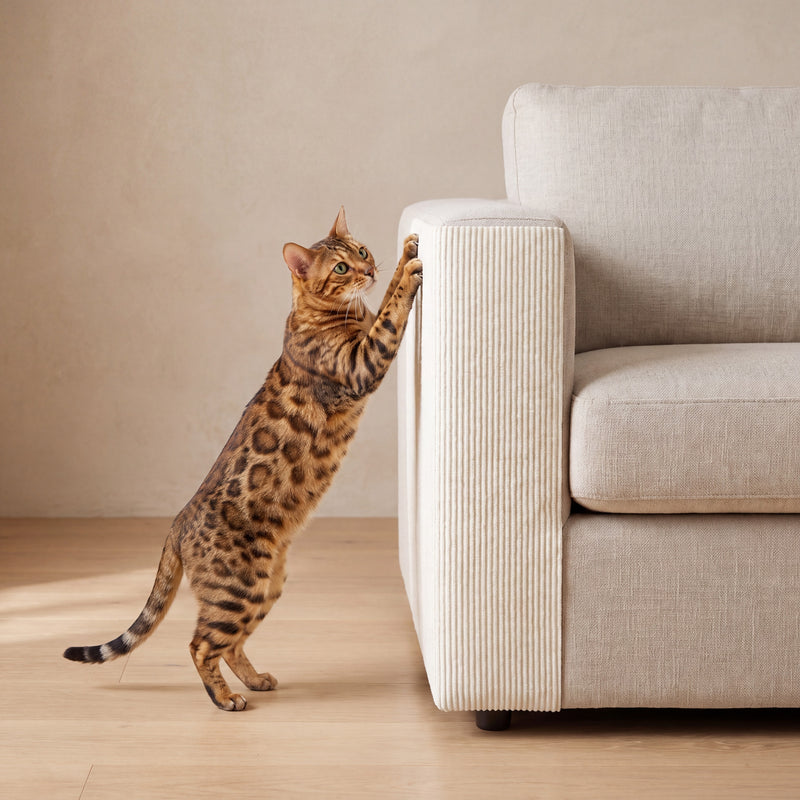 Guard Couch Scratch Wrap