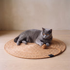 Halo Scratch Mat - Mat and ball - with a cat