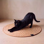 Halo Scratch Mat - Mat - with a cat