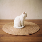 Halo Scratch Mat - Mat - feature