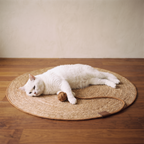 Halo Scratch Mat - Mat and ball - feature