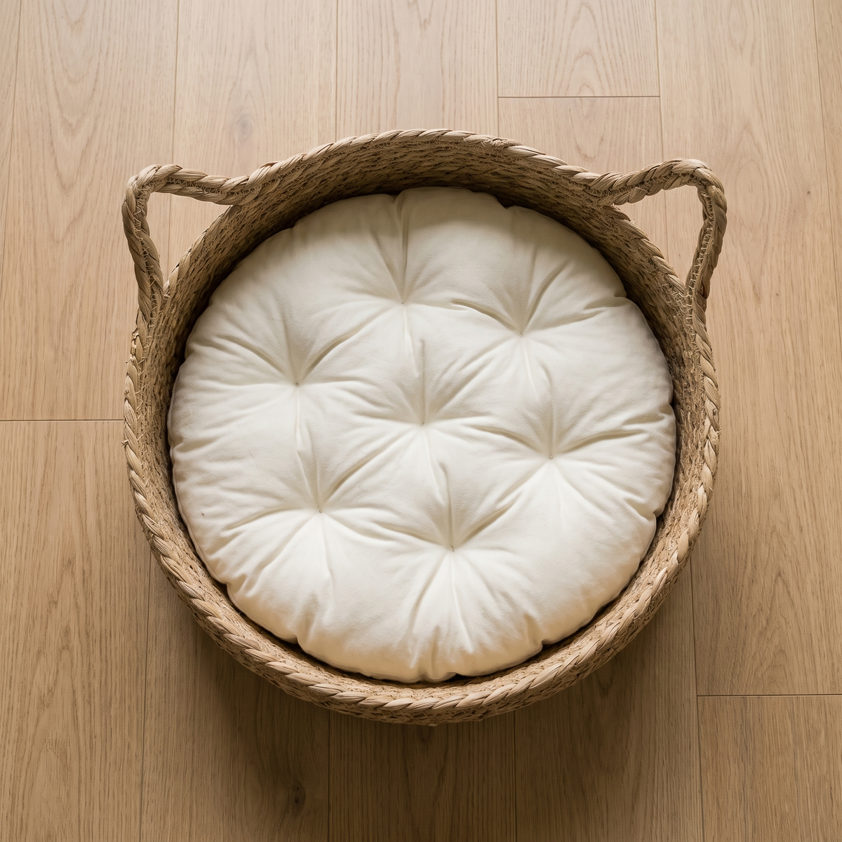 Coil Basket Bed - overhead