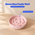 Bloom Slow Feeder Bowl - infographic