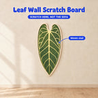 Leaf Wall Scratch Board - infographic