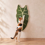Leaf Wall Scratch Board - Arrow Leaf - with a cat