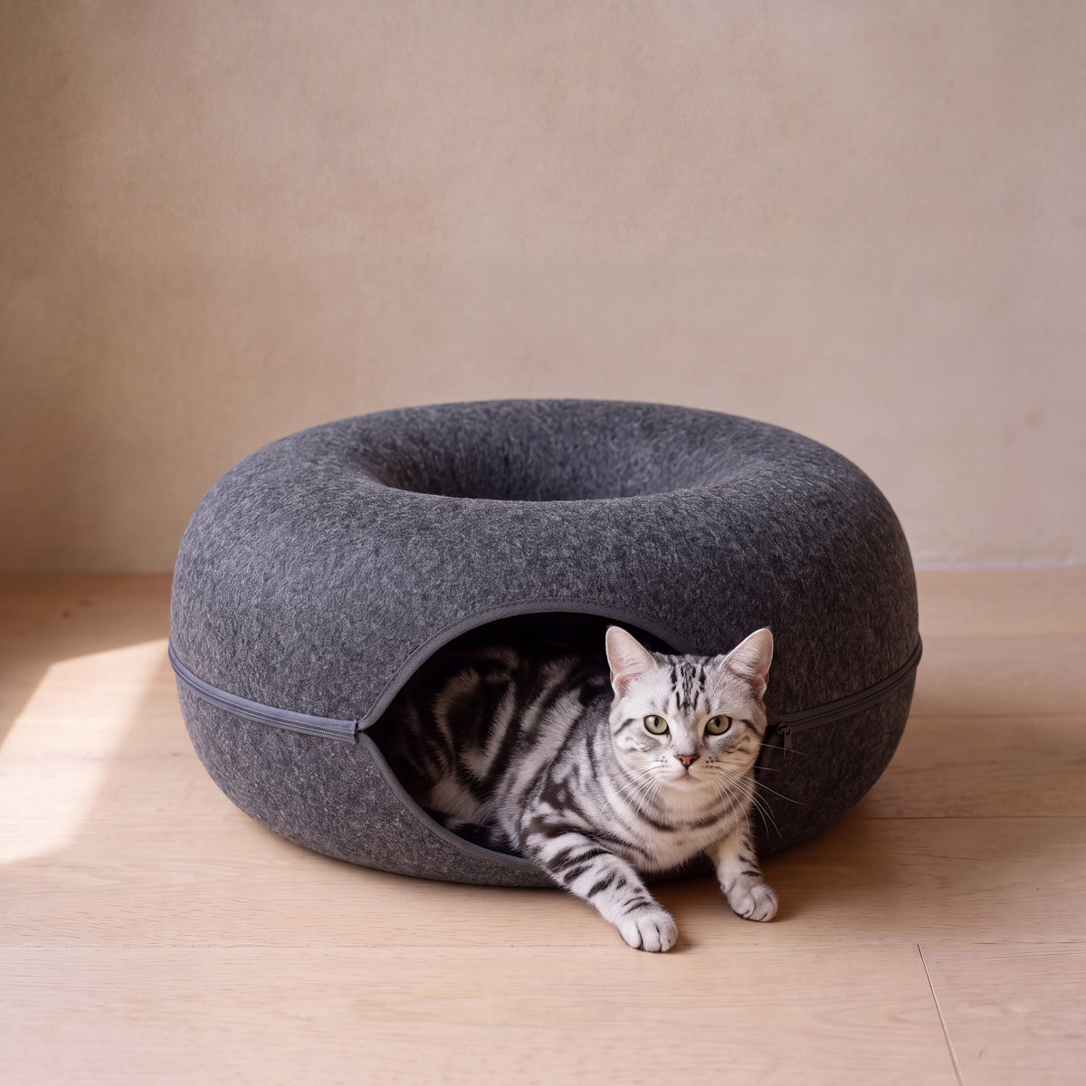 Loop Felt Tunnel Bed - Dark Grey - with a cat