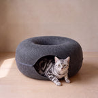 Loop Felt Tunnel Bed - Dark Grey - with a cat