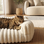 Lounge Sofa Bed