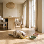 Whisker Shallow Dishes - lifestyle